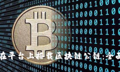 如何在平台上搭载区块链公链：全面指南