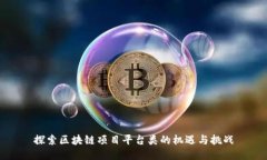 探索区块链项目平台类的机遇与挑战
