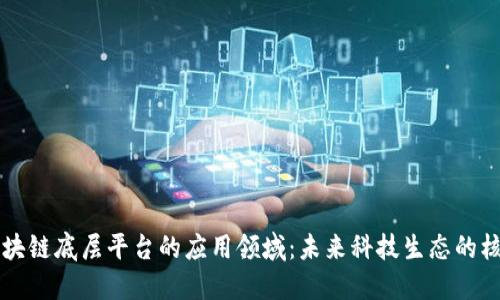 区块链底层平台的应用领域：未来科技生态的核心