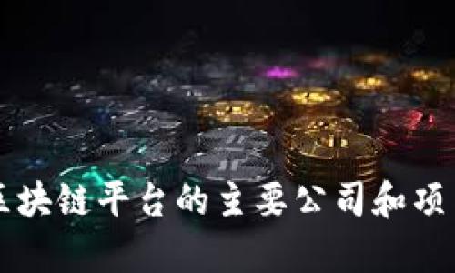 苹果区块链平台的主要公司和项目解析
