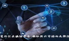 东莞外汇区块链平台：揭秘新兴市场的无限潜力