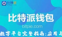 区块链与数字平台完整指南：应用与趋势分析